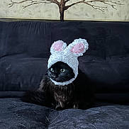 Happy joined the competition — help win amazing prizes! cat, black_cat, bunny_ears_hat, costume, pet, indoor, sofa, couch, furniture, wall_art, tree_painting, animal, cute, fluffy, portrait, domestic_cat, wide_eyes, costumed_pet, relaxed, cozy