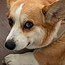 Kami is registered to the contest to win money with this photo:
