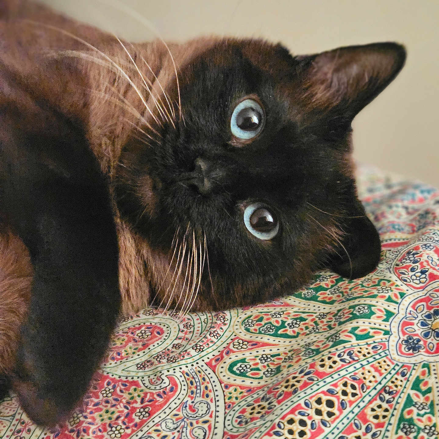 Sinba