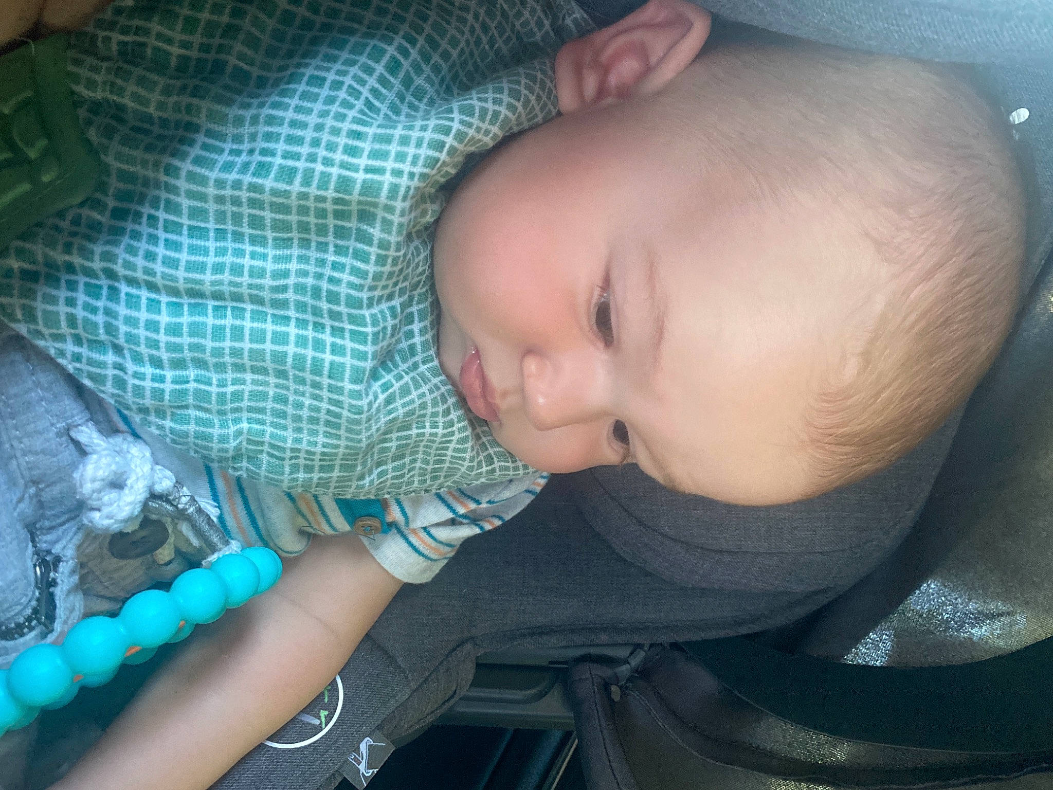 Arion is registered to the contest to win money with this photo: baby, baby_toddler_clothing, cat, cheek, chin, comfort, eye, eyebrow, finger, head, human_body, iris, lap, lip, mammal, mouth, nose, person, skin, toddler