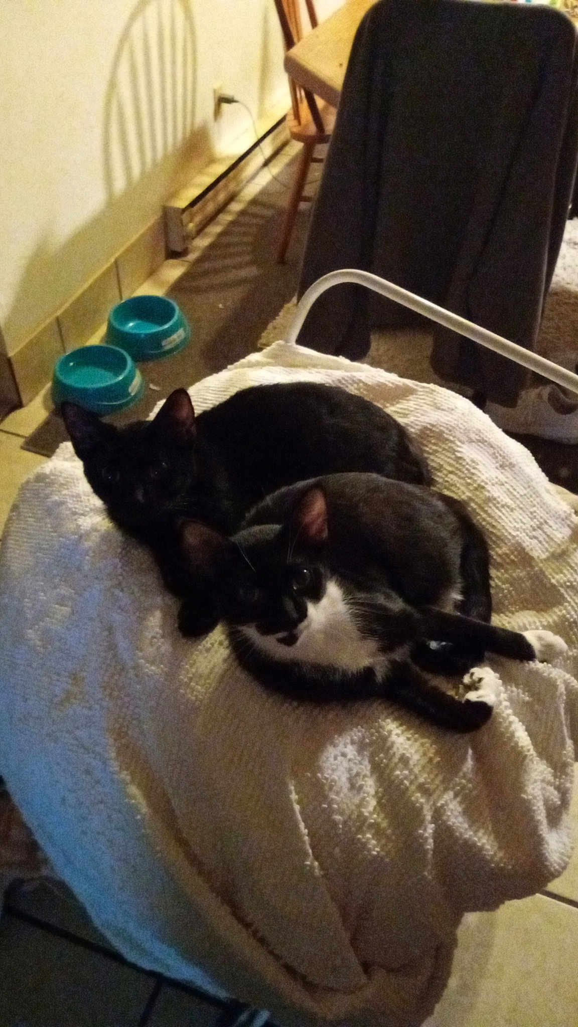Stormy And Meku