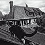 Ulba a rejoint le concours — aidez-le/la à gagner de superbes lots ! backyard, black_and_white, cat, chimney, cloudy_sky, cottage, curiosity, feline, garden, gutter, house, paving_stones, pet, portrait, roof, thatched_roof, tree, tuxedo_cat, whiskers, window