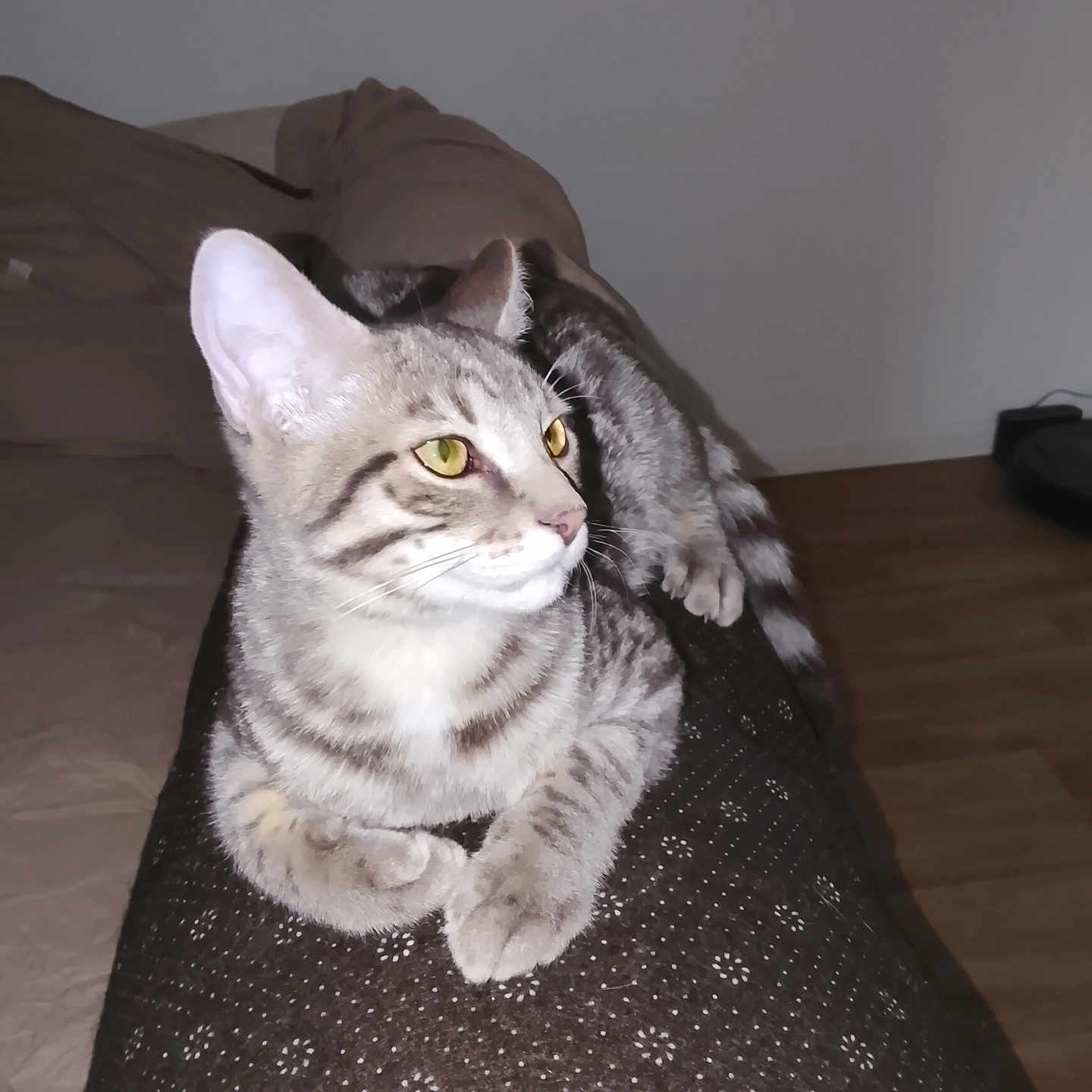 Pablito