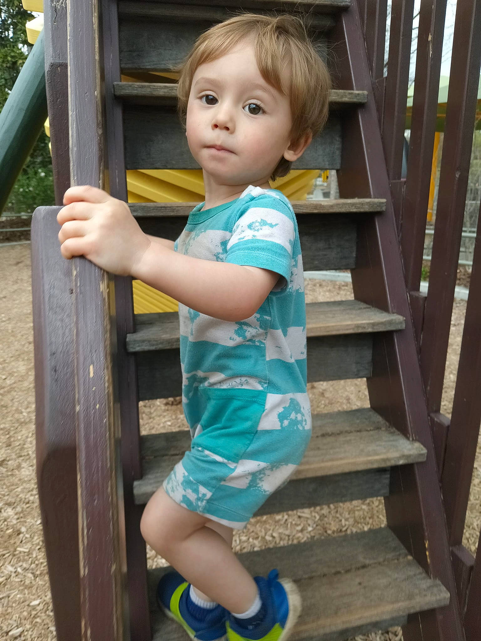 James is registered to the contest to win money with this photo: baby_toddler_clothing, child, chin, electric_blue, fun, grass, happy, human_leg, leisure, person, plant, shorts, skin, sleeve, stairs, standing, t_shirt, thigh, toddler, tree