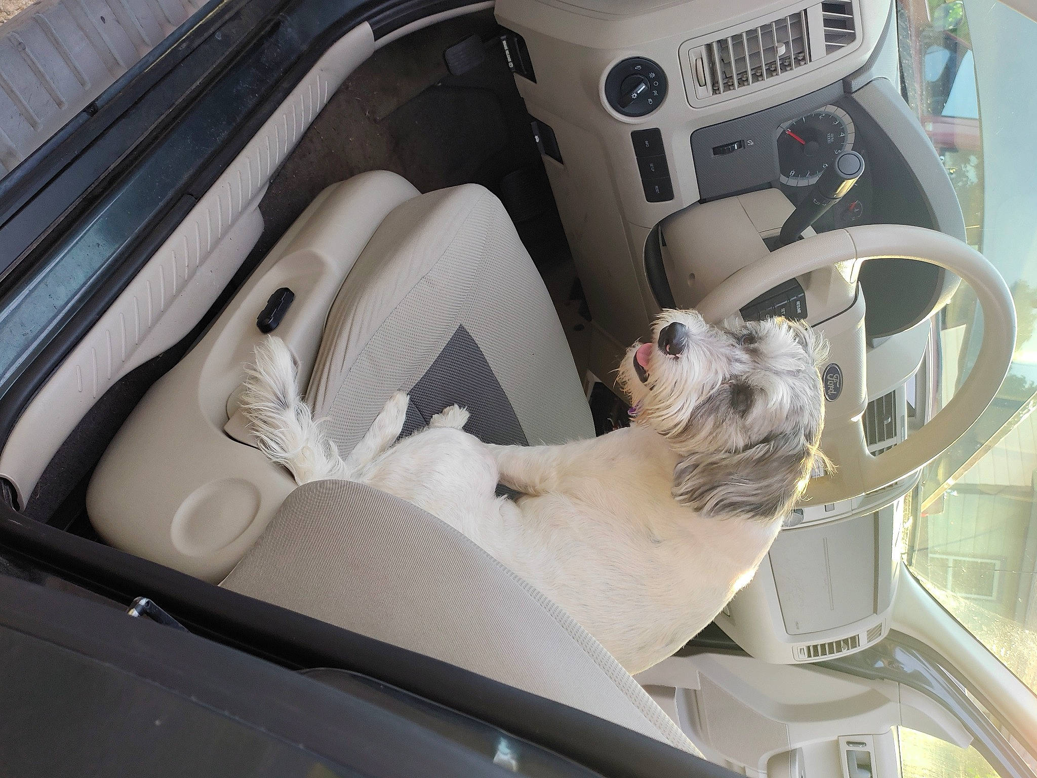 Abby joined the competition — help win amazing prizes! auto_part, automotive_design, automotive_exterior, automotive_tire, automotive_wheel_system, car, car_seat, car_seat_cover, center_console, gear_shift, hood, motor_vehicle, personal_luxury_car, steering_part, steering_wheel, trunk, vehicle, vehicle_door, white, window