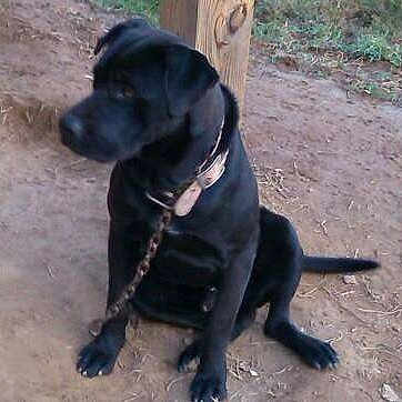 Camo is registered to the contest to win money with this photo: