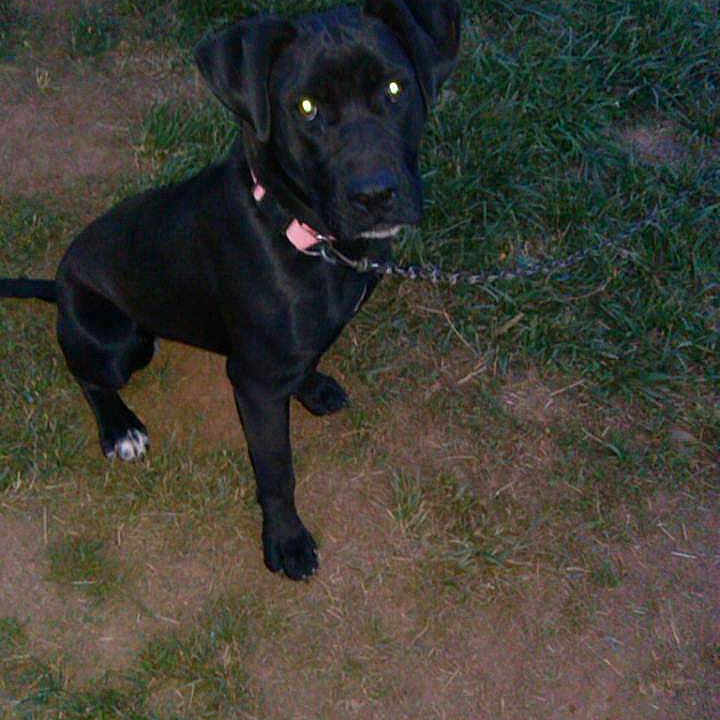 Missy
