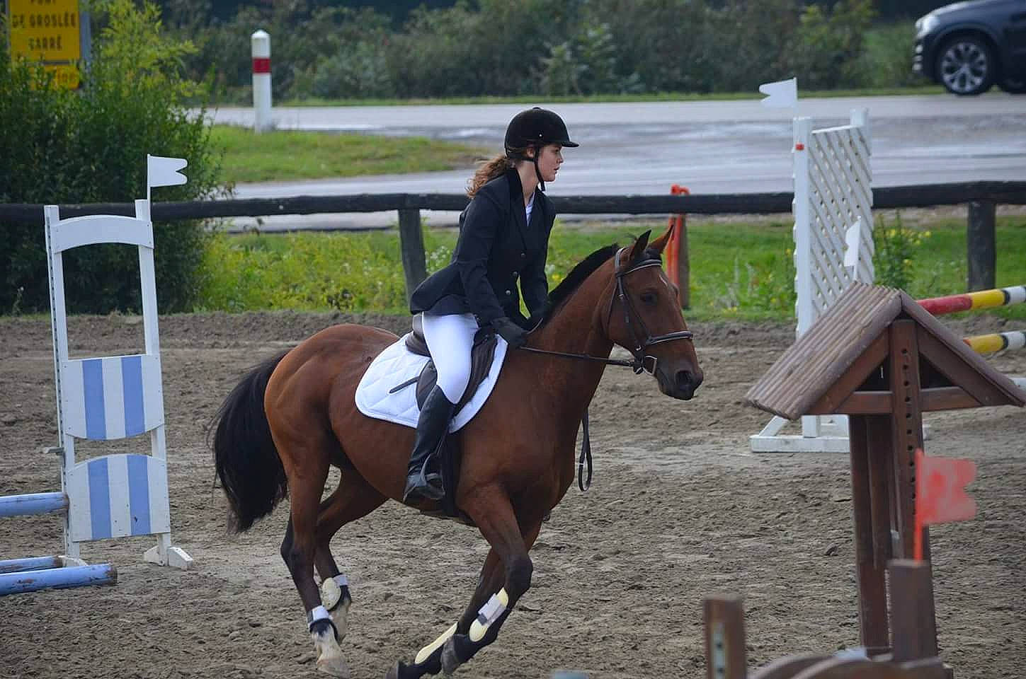 Unique Danely a rejoint le concours — aidez-le/la à gagner de superbes lots ! animal_sports, animal_training, bridle, cross_country_equestrianism, english_riding, equestrian, equestrian_sport, equestrianism, equitation, eventing, horse, horse_like_mammal, hunt_seat, jumping, mare, outdoor_recreation, person, rein, show_jumping, stallion