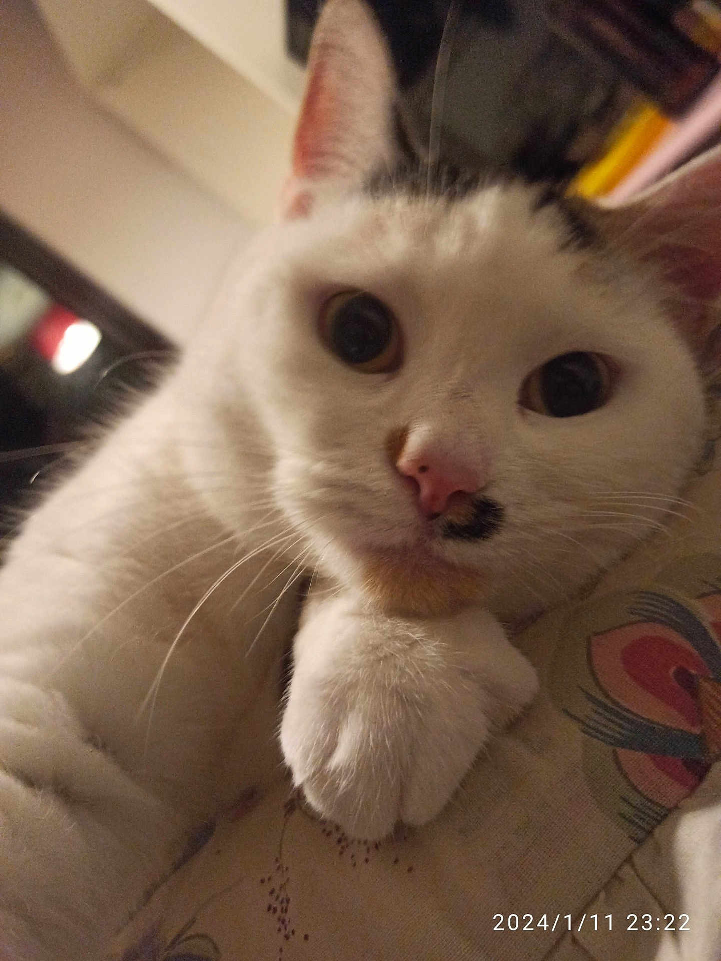 Tilly