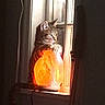 cat, tabby_cat, lamp, salt_lamp, window, windowsill, indoor, night, glowing, light, orange_light, pet, animal, cozy, quiet, contemplative, shadow, dark, feline, home