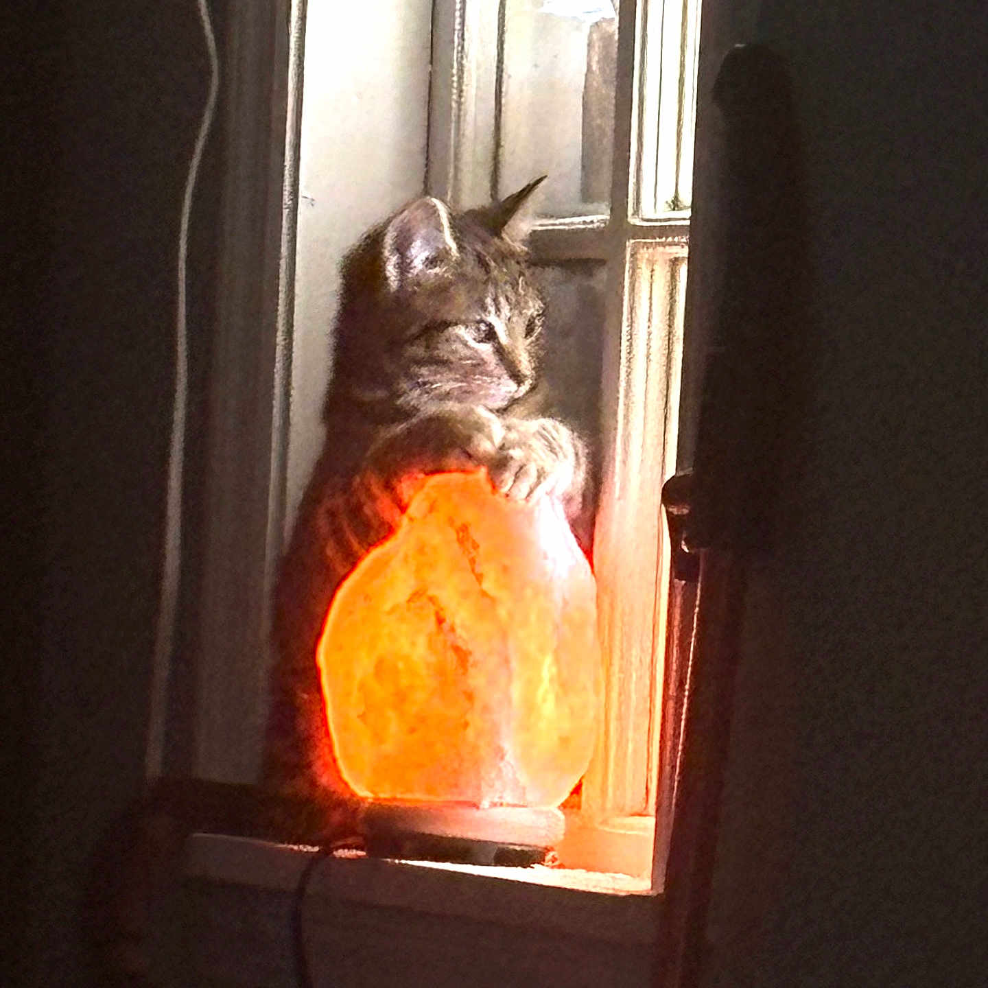 Jinx