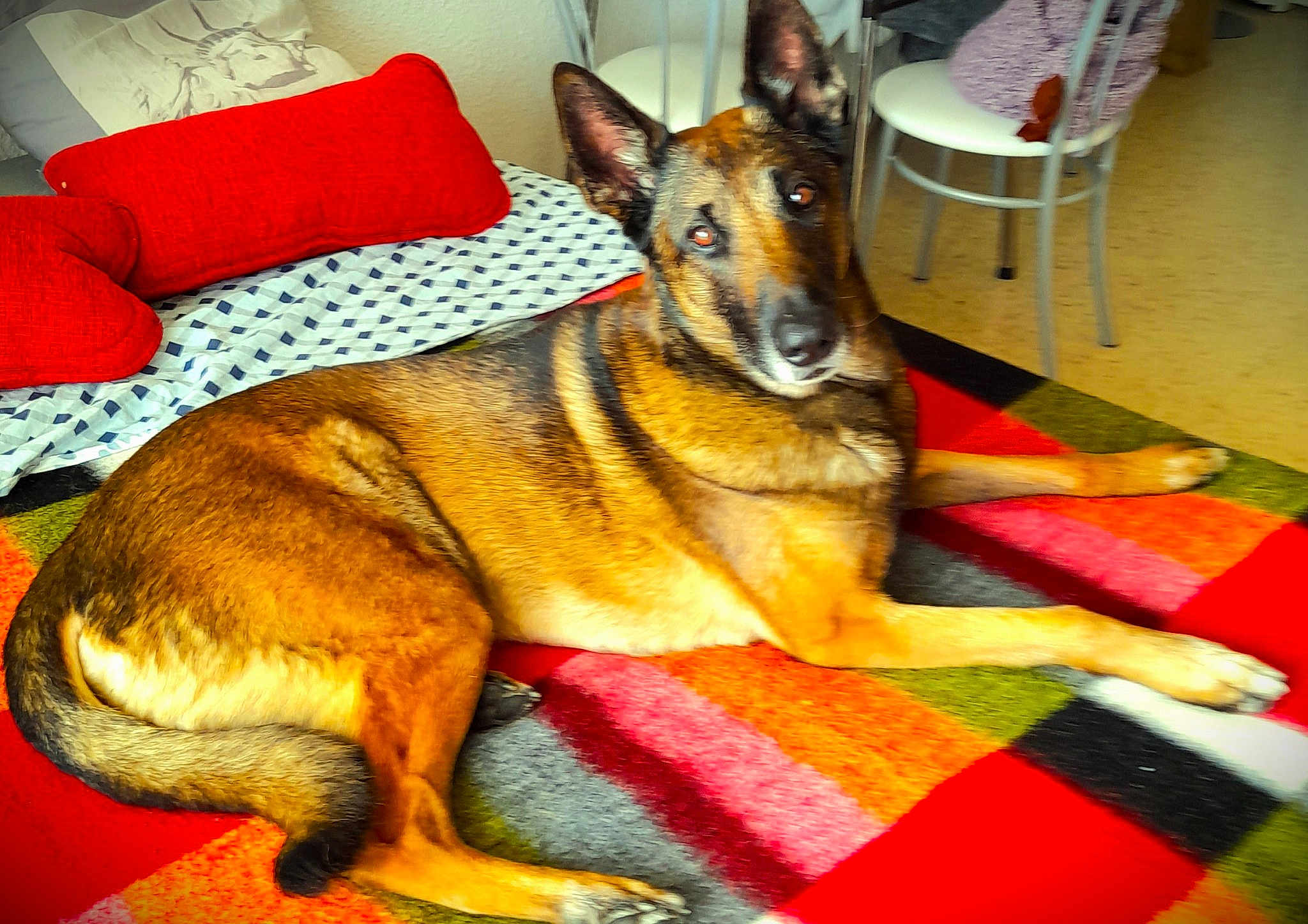 Max