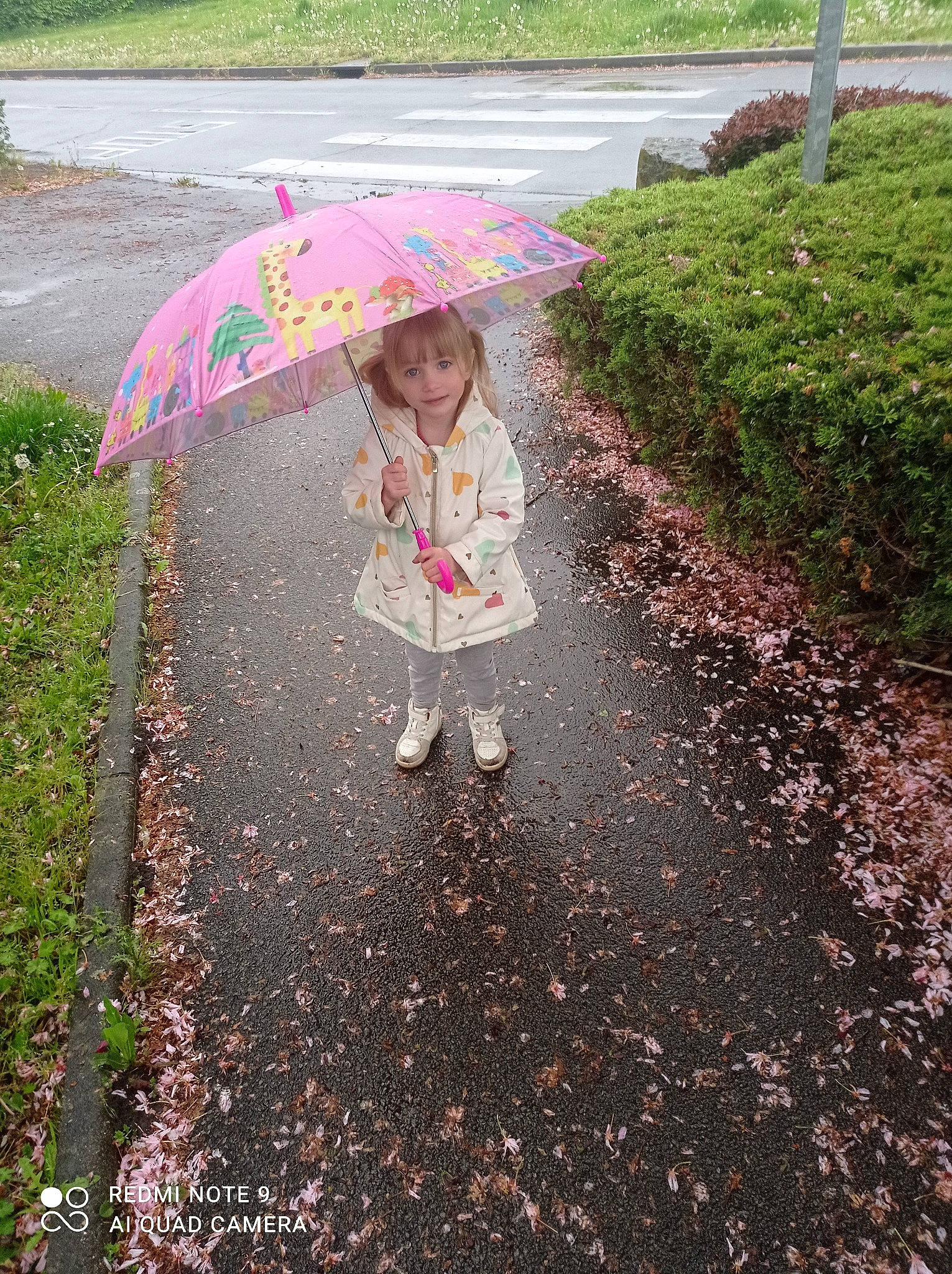 Loïs participe au concours pour gagner de l'argent avec cette photo : asphalt, botany, child, grass, green, joy, leaf, leisure, nature, people_in_nature, person, plant, public_space, road, road_surface, rural_area, sidewalk, sunlight, tints_and_shades, toddler
