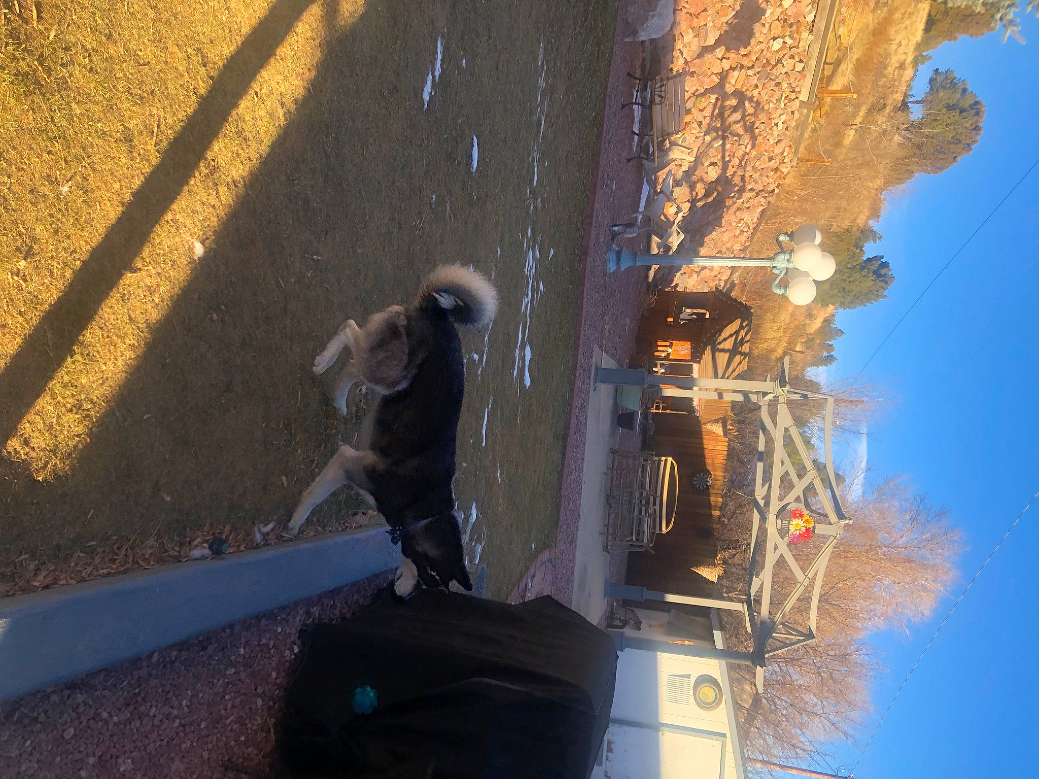 Togo joined the competition — help win amazing prizes! asphalt, blue, city, concrete, light, lighting, public_utility, reflection, road_surface, sculpture, shadow, sidewalk, sky, street_light, tar, tints_and_shades, tree, water, winter, wood