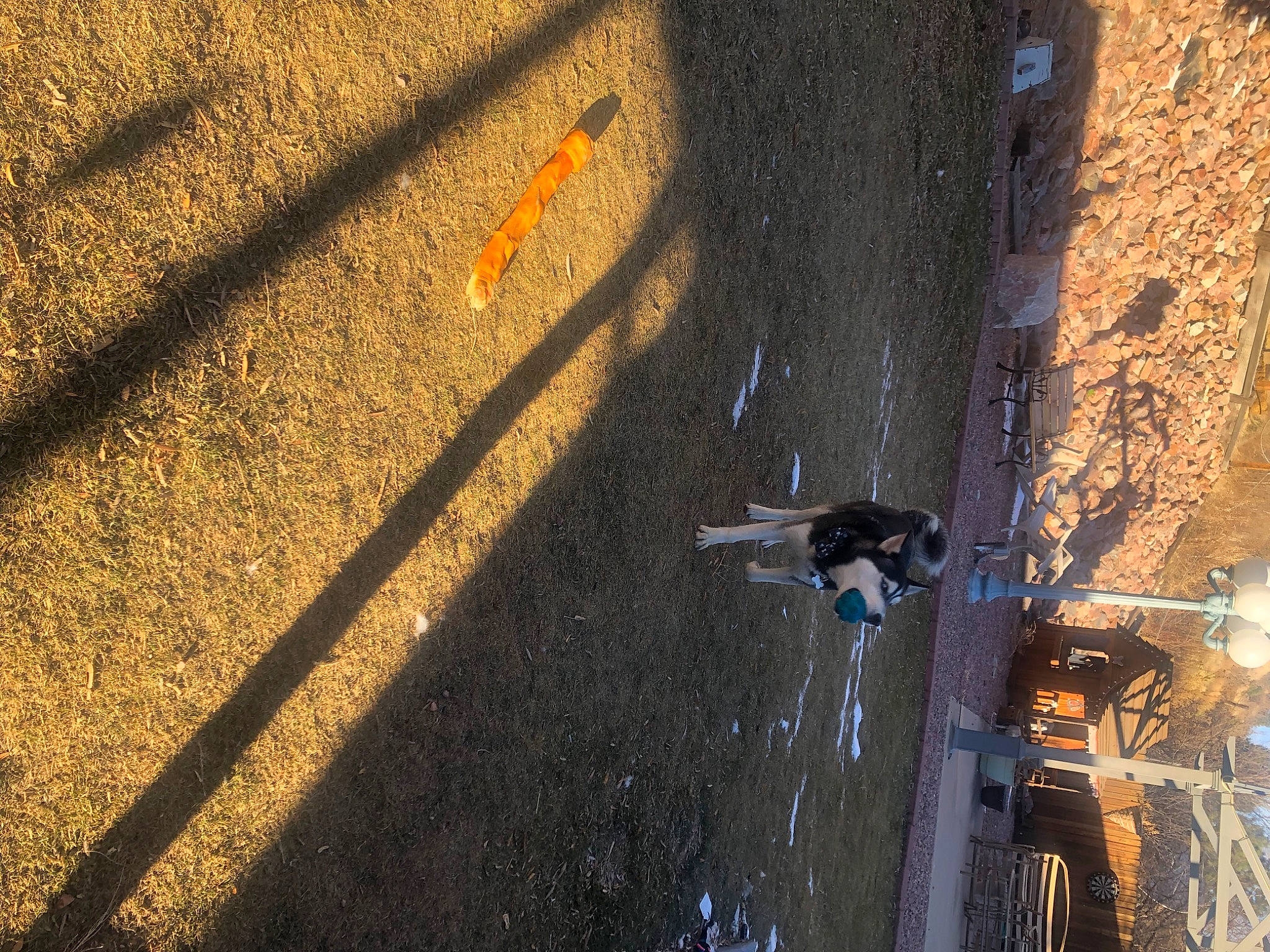 Togo is registered to the contest to win money with this photo: asphalt, auto_part, automotive_exterior, automotive_lighting, automotive_tire, automotive_wheel_system, city, concrete, landscape, pedestrian, road, road_surface, shadow, sidewalk, tar, tints_and_shades, tire, vehicle, wheel, wood