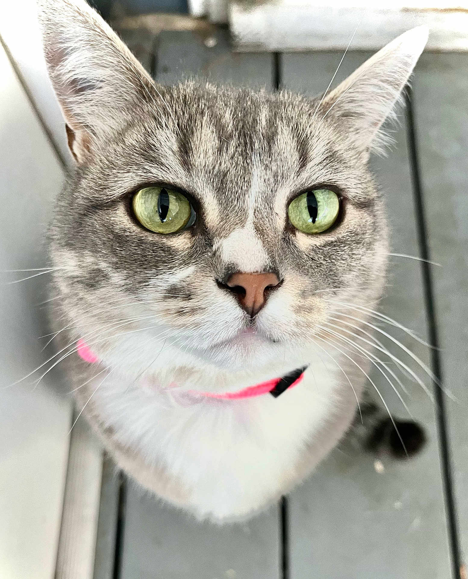 Chloe