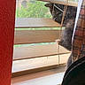 cat, furry, black_cat, window, blinds, curtain, plaid, indoors, sunlight, windowsill, relaxing, sitting, profile, animal, pet, gray_fur, home, greenery, portrait, cozy