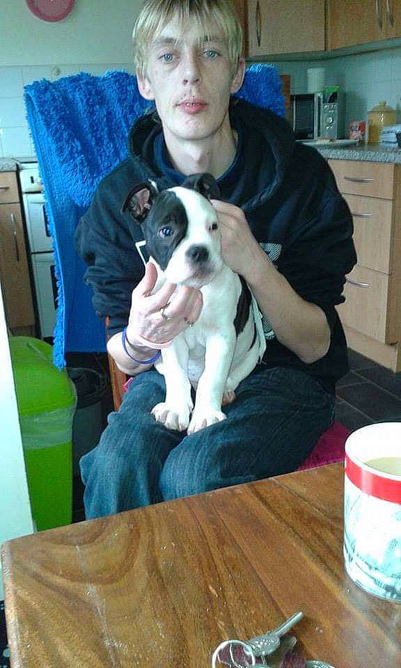 Kaos joined the competition — help win amazing prizes! cabinetry, canidae, carnivore, chair, chilean_fox_terrier, comfort, companion_dog, cupboard, dog, dog_breed, home_appliance, kitchen_appliance, lap, refrigerator, shelf, sitting, sporting_group, table, tableware, television