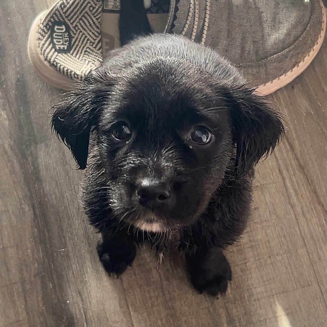 Millie