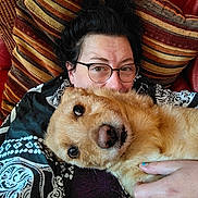 Gaya a rejoint le concours — aidez-le/la à gagner de superbes lots ! blanket, brown, closeup, comfort, couch, cozy, dog, face, friendship, fur, glasses, hand, indoor, person, pet, pillow, portrait, relaxation, snuggle, striped
