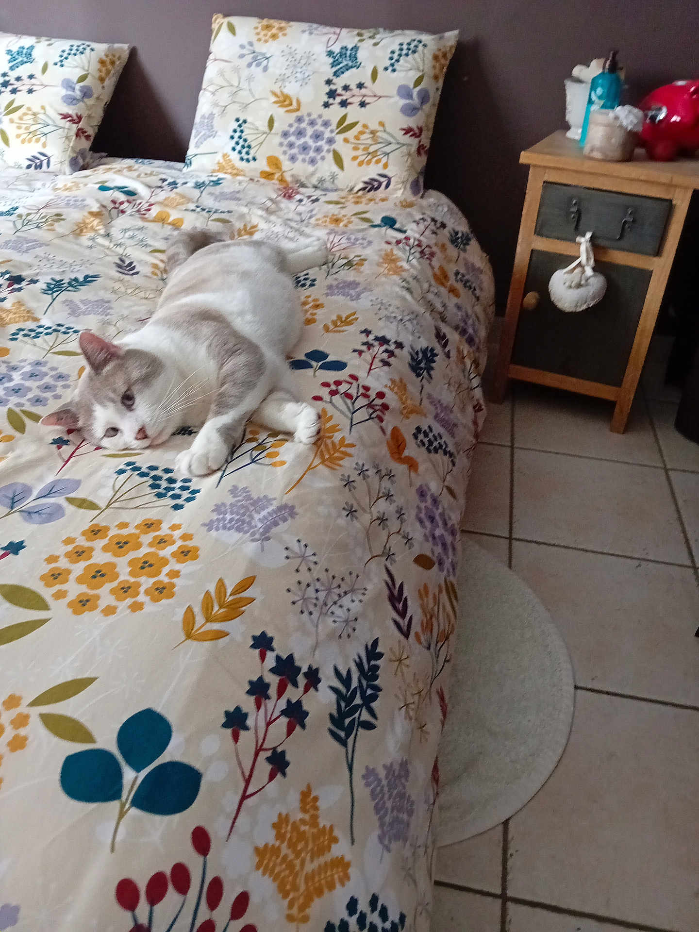 Maew a rejoint le concours — aidez-le/la à gagner de superbes lots ! cat, bed, floral_pattern, pillow, bedspread, indoor, tile_floor, nightstand, decor, relaxed, pet, furniture, cozy, home, animal, resting, domestic, sleepy, soft, comfortable