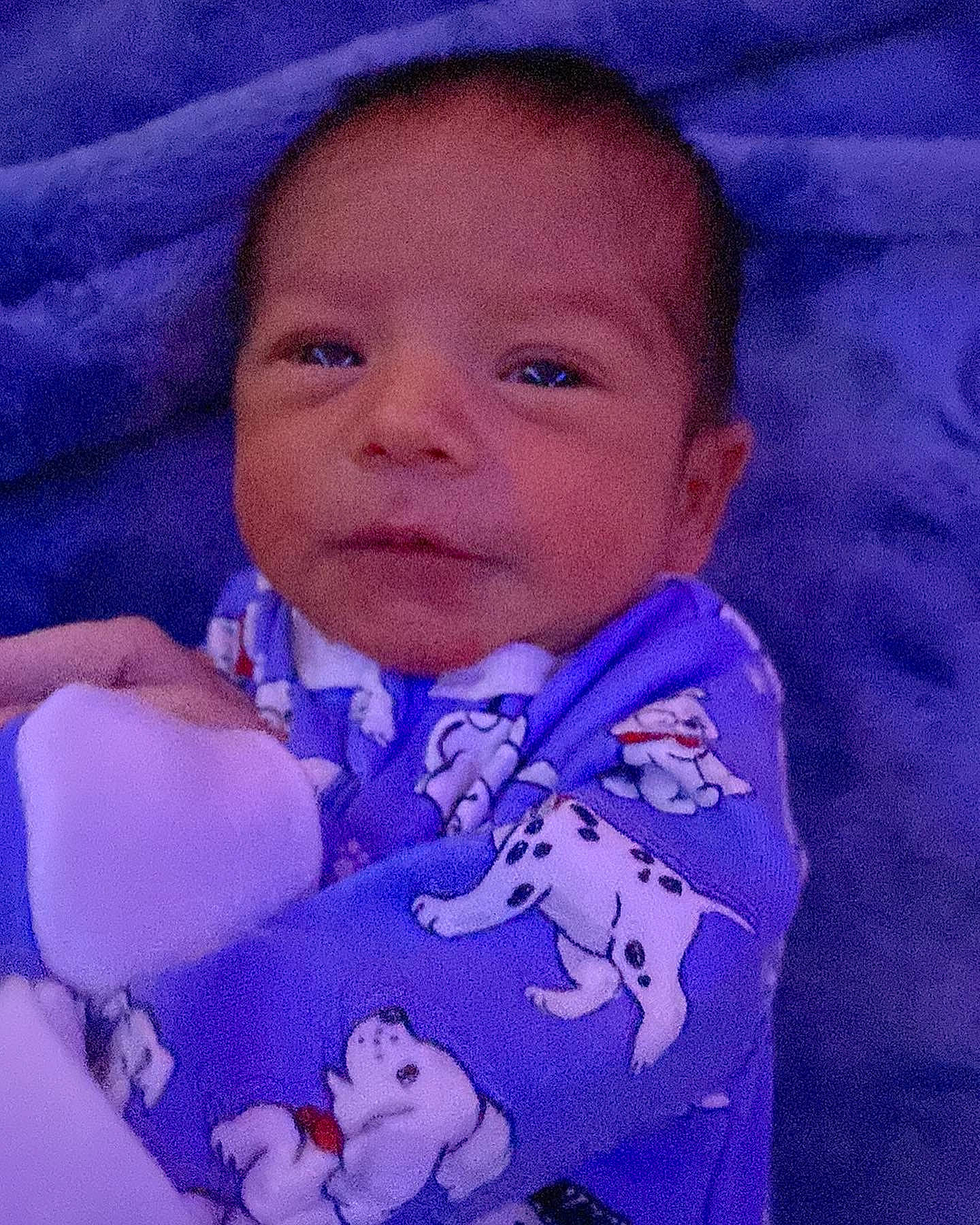 Ashton joined the competition — help win amazing prizes! azure, baby, baby_toddler_clothing, cheek, chin, collar, cool, eyebrow, face, happy, iris, nose, person, pink, purple, skin, sleeve, smile, textile, toddler