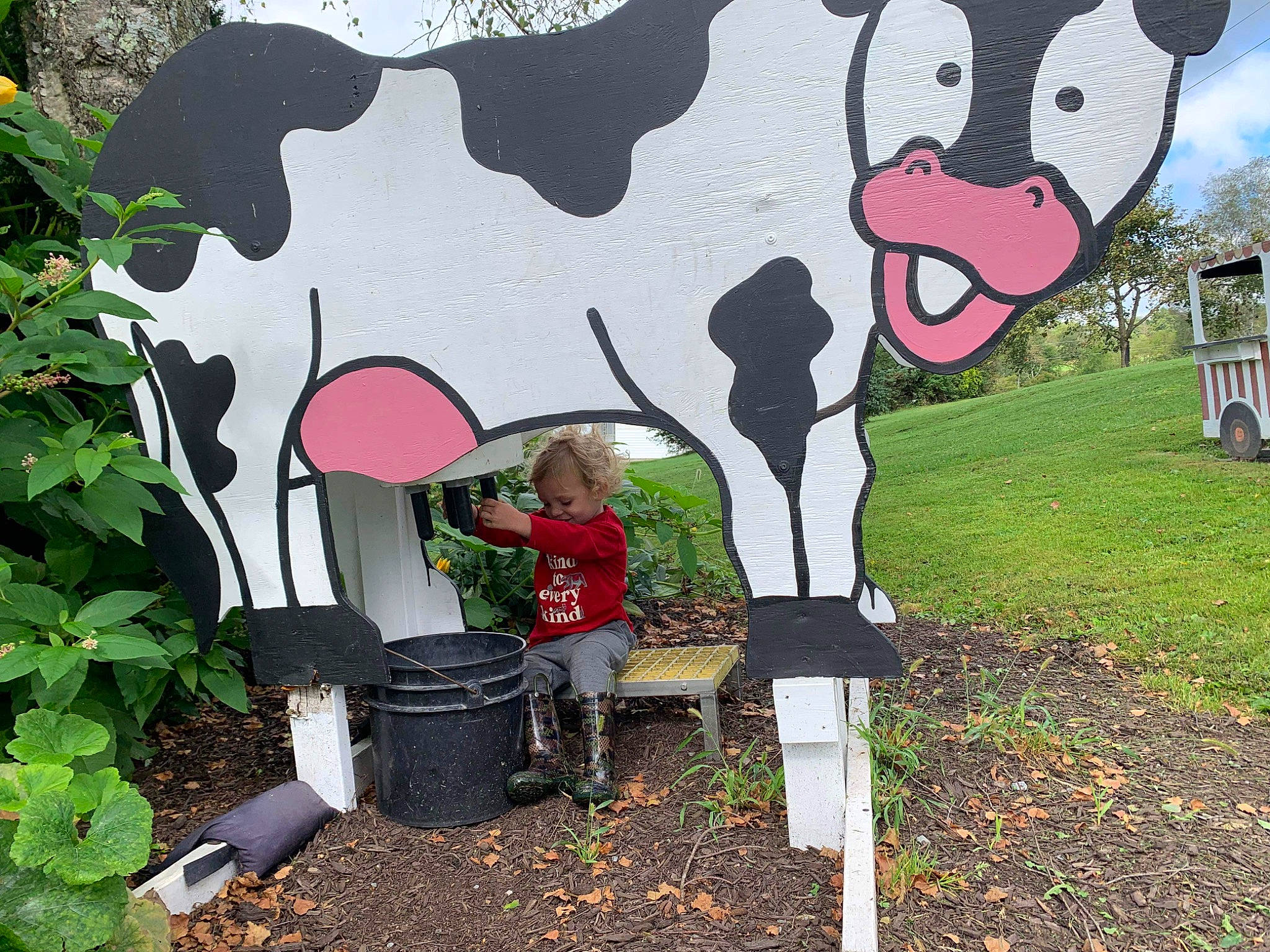Waylon is registered to the contest to win money with this photo: adaptation, art, bovine, dairy_cow, fun, graffiti, grass, lawn_ornament, leisure, livestock, mural, painting, person, plant, sign, signage, snout, soil, terrestrial_animal, visual_arts