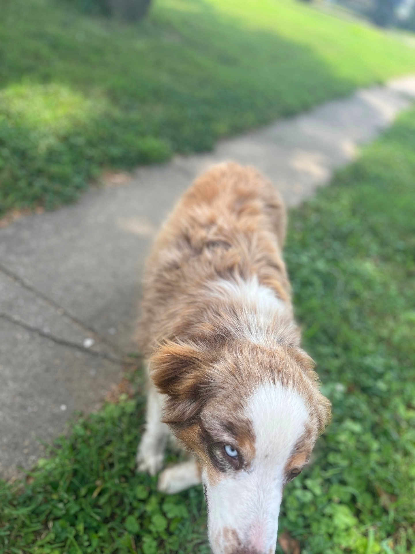 Charlie