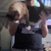 Simon is registered to the contest to win money with this photo: animal, background, blurred, blurry, casual, cuddle, domestic, furniture, holding, home, human, indoor, light, pants, person, pets, room, shirt, two_cats, window