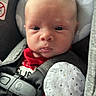 Stewart joined the competition — help win amazing prizes! baby, baby_accessory, car_seat, child, closeup, cute, expression, face, head, indoor, infant, newborn, pacifier, person, portrait, red_clothing, safety_harness, seatbelt, straps, white_mitten