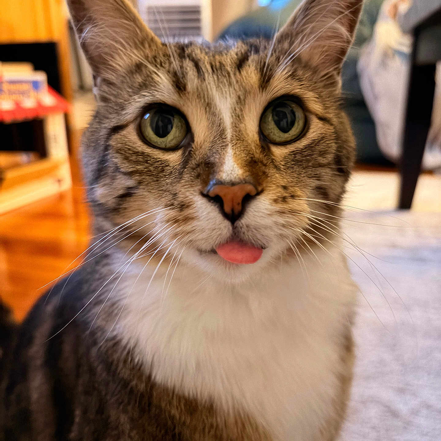 Mowgli