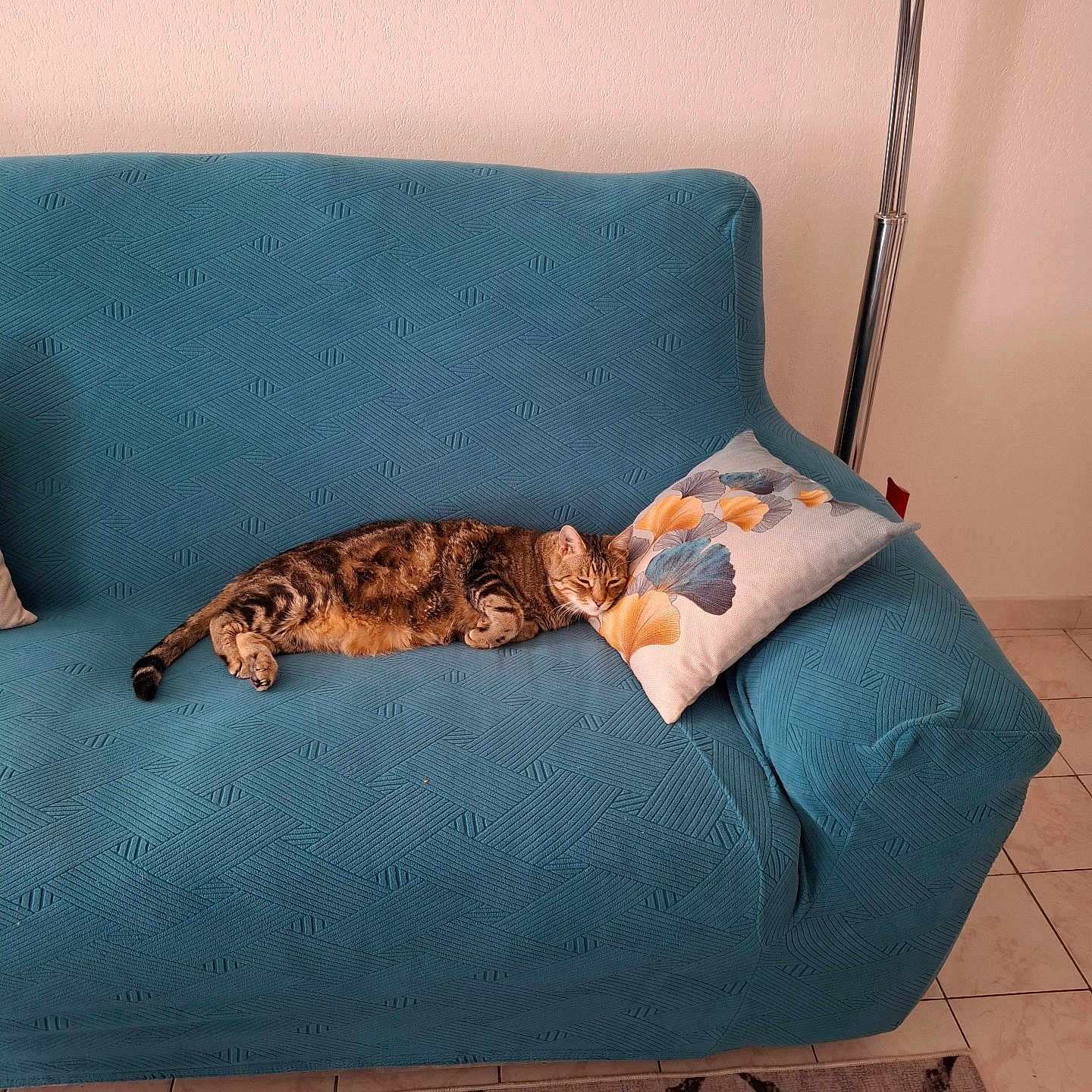 Voyou participe au concours pour gagner de l'argent avec cette photo : animal, blanket, cat, couch, cozy, domestic_animal, floor, furniture, home, indoor, living_room, patterned, pet, pillow, relaxing, resting, sleeping, sofa, tabby_cat, tile_floor