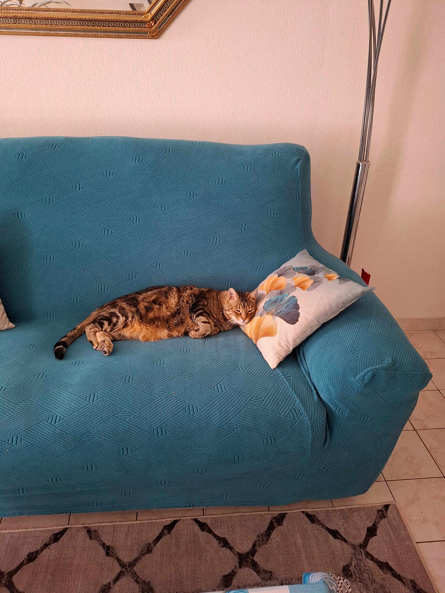 Voyou participe au concours pour gagner de l'argent avec cette photo : cat, tabby_cat, couch, sofa, pillow, indoor, sleeping, pet, furniture, cozy, home, living_room, floor, blanket, relaxing, animal, domestic_animal, resting, patterned, tile_floor