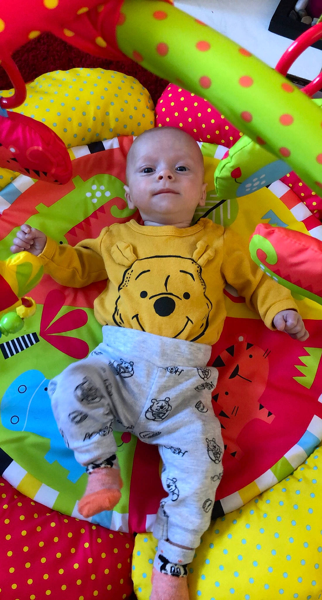 Seth joined the competition — help win amazing prizes! baby, baby_products, baby_toddler_clothing, baby_toys, child, eye, facial_expression, fun, green, happy, head, pattern, person, play, red, room, snapshot, toddler, toy, white