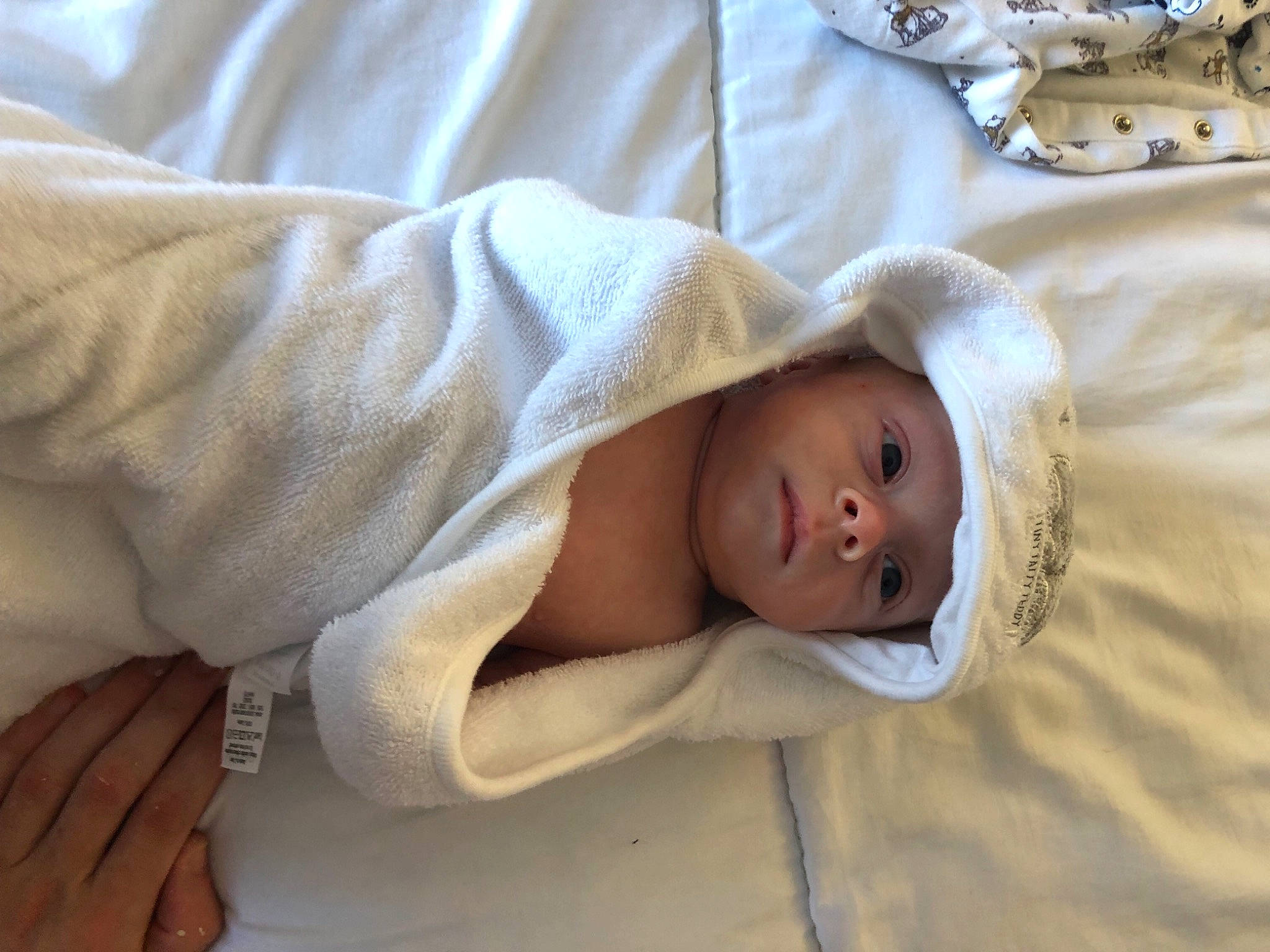 Seth is registered to the contest to win money with this photo: baby, baby_products, baby_safety, baby_sleeping, baby_toddler_clothing, bedding, bedtime, child, comfort, eye, face, gesture, hand, head, headwear, linens, person, room, skin, sleeve