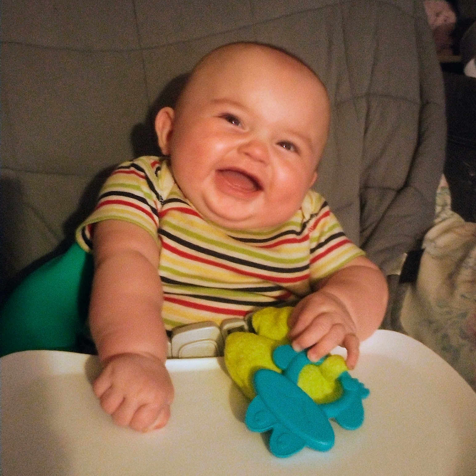 Robert is registered to the contest to win money with this photo: animal, baby, canine, chair, clothing, couch, cushion, cutlery, dog, face, furniture, glove, happy, head, laughing, person, pet, photography, portrait, toy