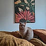 cat, gray_cat, bed, blanket, bedding, painting, wall_art, indoor, cozy, furniture, animal, pet, portrait, home, decor, mustard_color, plant, leaf, relaxed, sitting