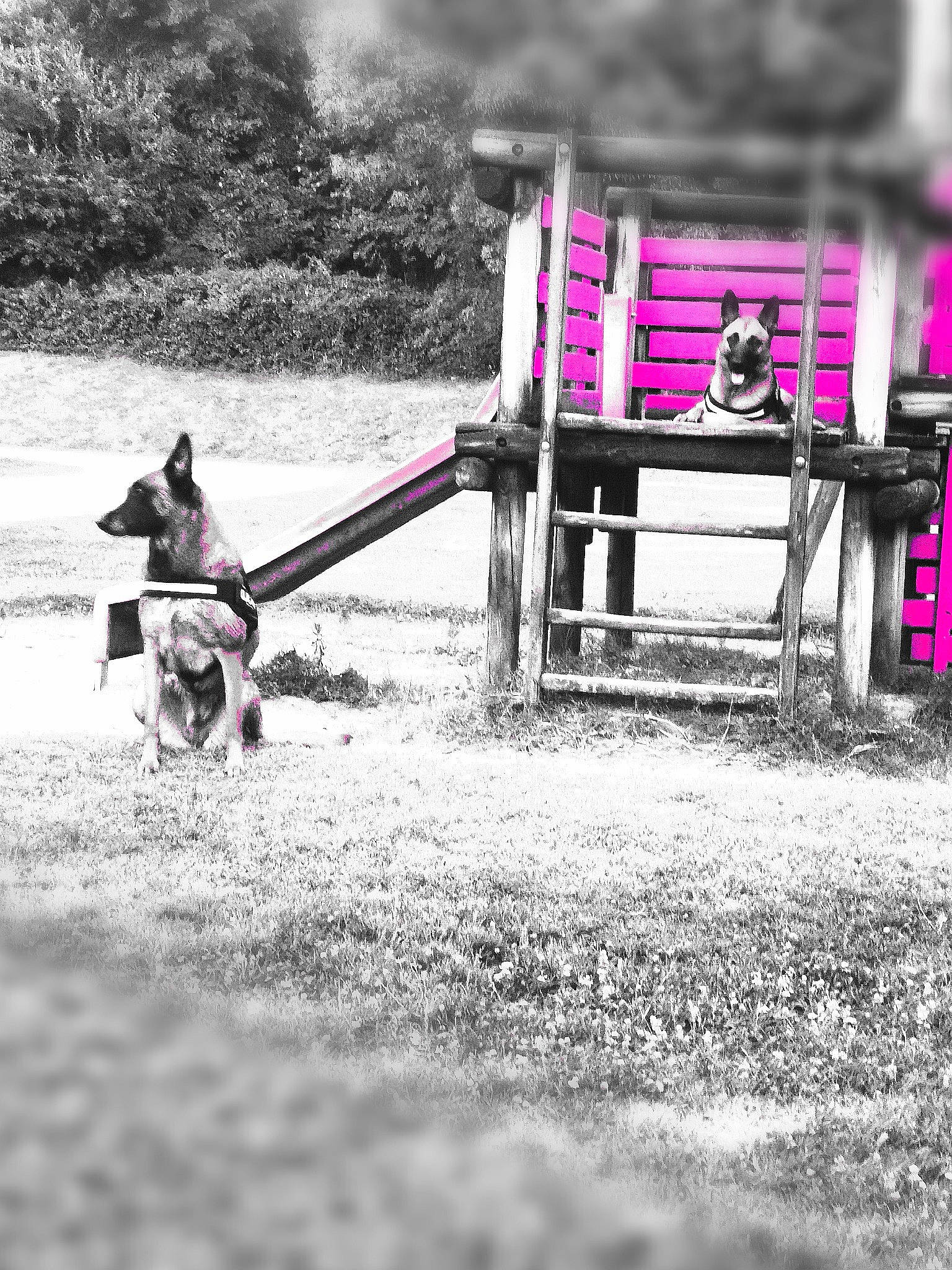 Oxy participe au concours pour gagner de l'argent avec cette photo : automotive_tire, automotive_wheel_system, black_and_white, city, fun, grass, human_leg, landscape, leisure, monochrome, monochrome_photography, motor_vehicle, plant, playground_slide, recreation, sitting, soil, tints_and_shades, tree, wood