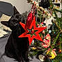black_cat, cat, christmas_tree, christmas_ornaments, red_star, decorations, indoor, holiday, festive, pet, animal, curious, playing, tree_branch, greenery, cozy, furniture, fabric, holiday_decor, cute