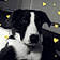 Railey