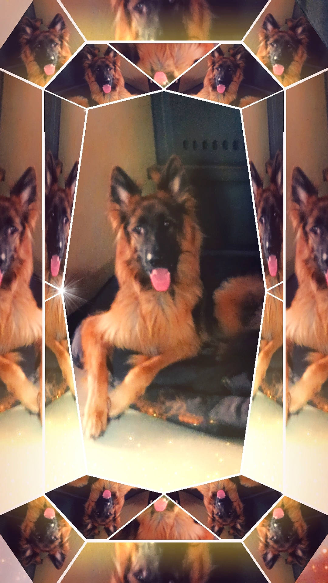 Thors a rejoint le concours — aidez-le/la à gagner de superbes lots ! advertising, art, canidae, carnivore, companion_dog, dog, dog_breed, east_european_shepherd, event, flooring, fur, german_shepherd_dog, giant_dog_breed, guard_dog, herding_dog, king_shepherd, old_german_shepherd_dog, snapshot, visual_arts, working_dog