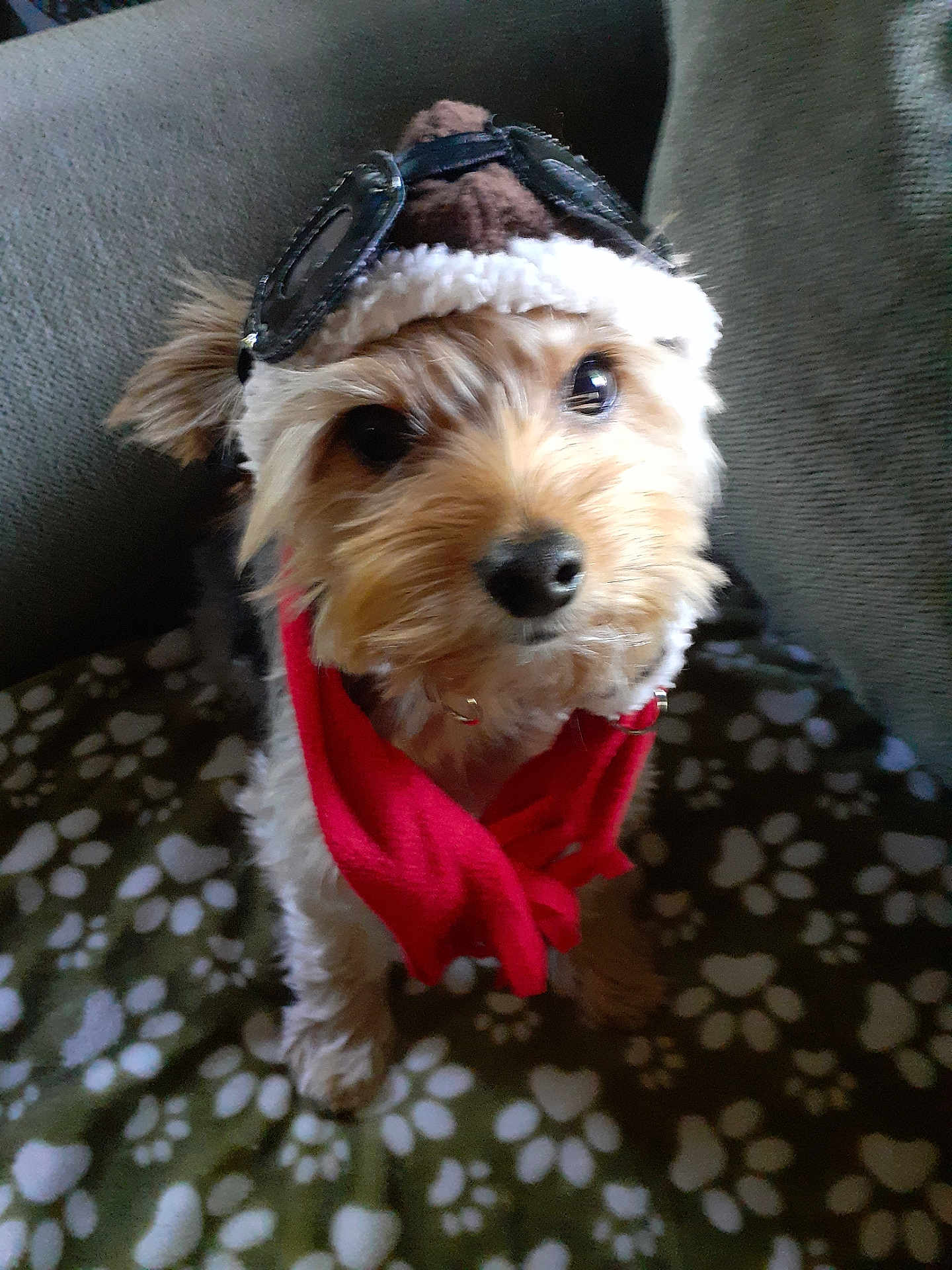 Axl