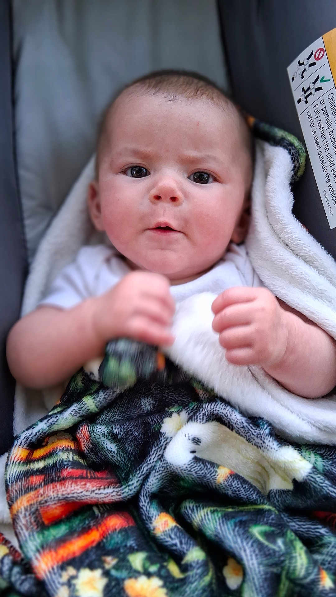 Delanie is registered to the contest to win money with this photo: baby, infant, blanket, car_seat, child, face, hands, curious, indoors, portrait, safety_label, clothing, soft_texture, expression, young_child, seated, closeup, human, person, cute