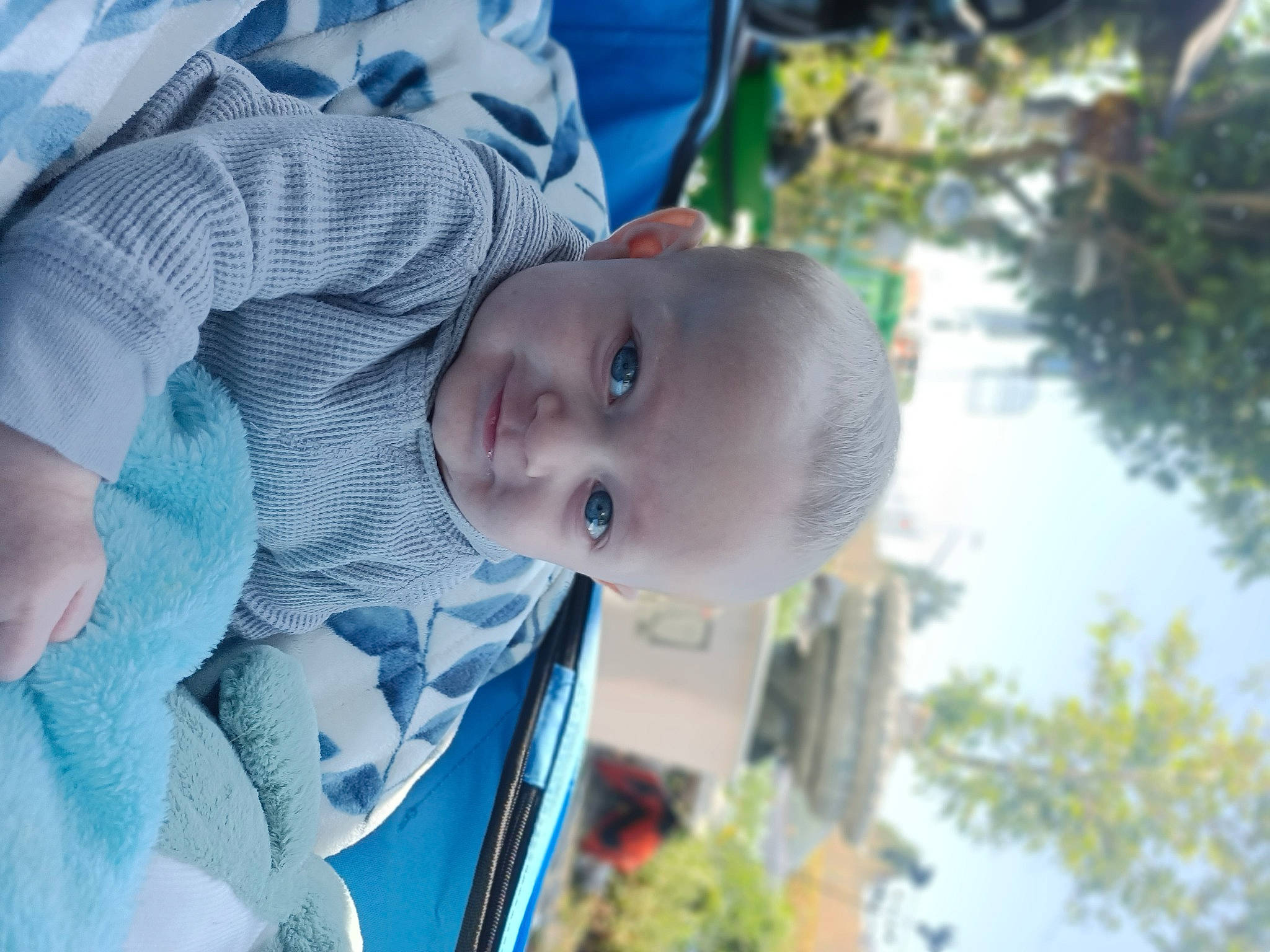 Ransom joined the competition — help win amazing prizes! baby, dress, eye, face, facial_expression, fun, grass, hairstyle, hand, happy, hat, head, mouth, nose, person, plant, skin, smile, toddler, tree