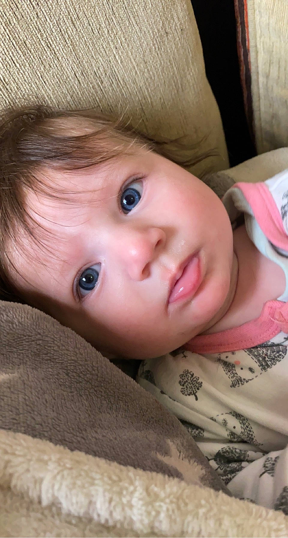 Elora a rejoint le concours — aidez-le/la à gagner de superbes lots ! cap, cheek, chin, comfort, eye, eyebrow, eyelash, face, facial_expression, forehead, hat, head, human, iris, lip, mammal, nose, person, skin, sleeve