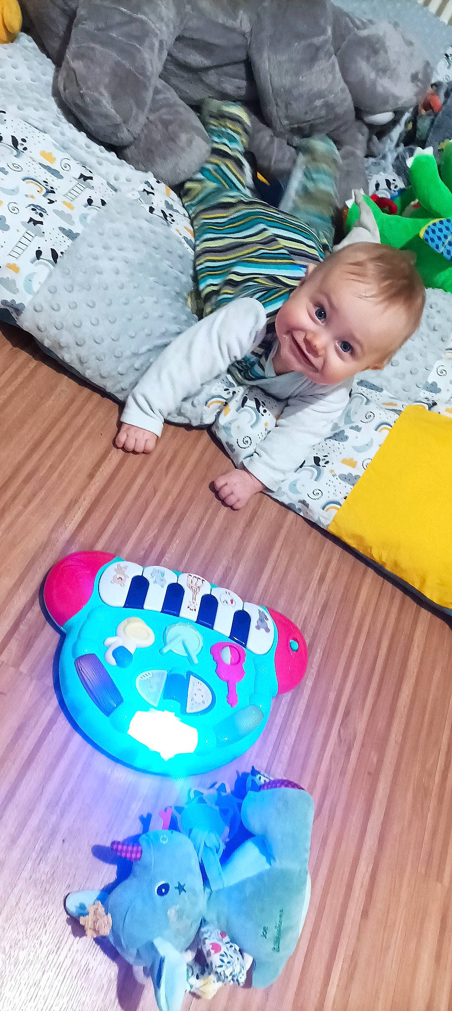 Raphaël participe au concours pour gagner de l'argent avec cette photo : baby, baby_toddler_clothing, blue, child, comfort, electric_blue, facial_expression, floor, flooring, fun, green, happy, joy, pattern, person, purple, sitting, smile, t_shirt, toddler
