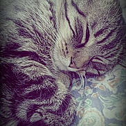 Malou participe au concours pour gagner de l'argent avec cette photo :