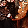 black_cat, cat, table, clothes, water_bottle, wooden_table, chair, indoor, pet, curious, domestic_animal, fur, eyes, legs, household_items, pen, pile_of_clothes, fabric, curiosity, furniture