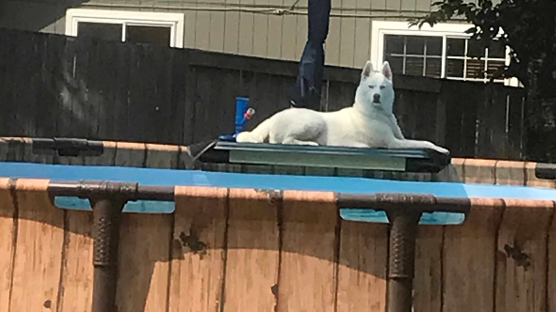 Kona