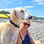 Pélias a rejoint le concours — aidez-le/la à gagner de superbes lots ! beach, blue_sky, casual, clouds, collar, daytime, dog, hill, leash, outdoor, people, person, relaxed, rocks, shore, summer, sunglasses, sunny, umbrella, vacation